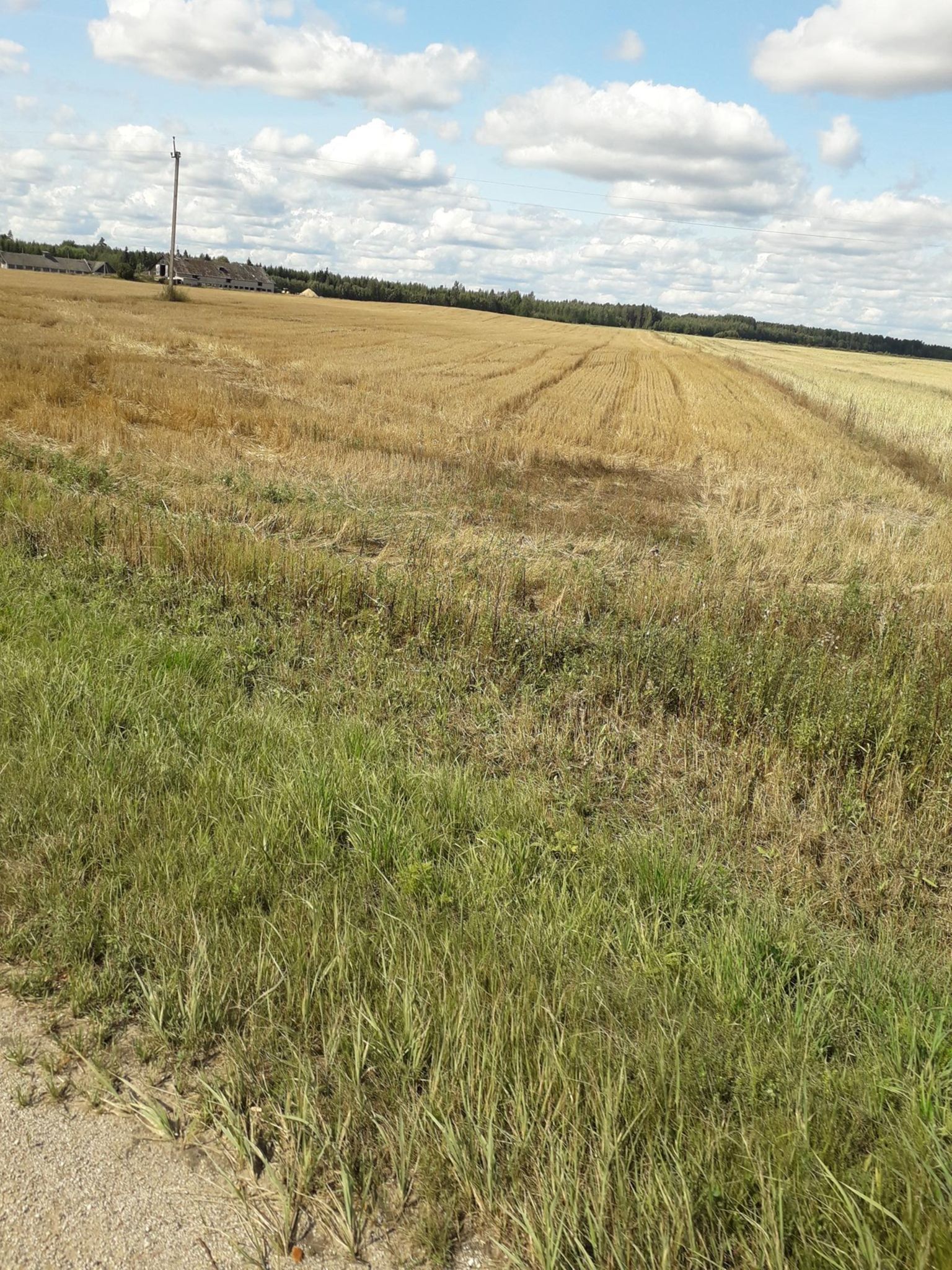 开云平台中国-p6)?M鲟侍鯺暸H觽Id謪?湐]懓袸"赒RT牛f亀ボ嶼的简单介绍